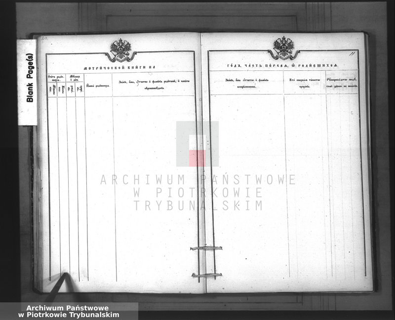 image.from.team "Akta stanu cywilnego Parafii Prawosławnej w Granicy"