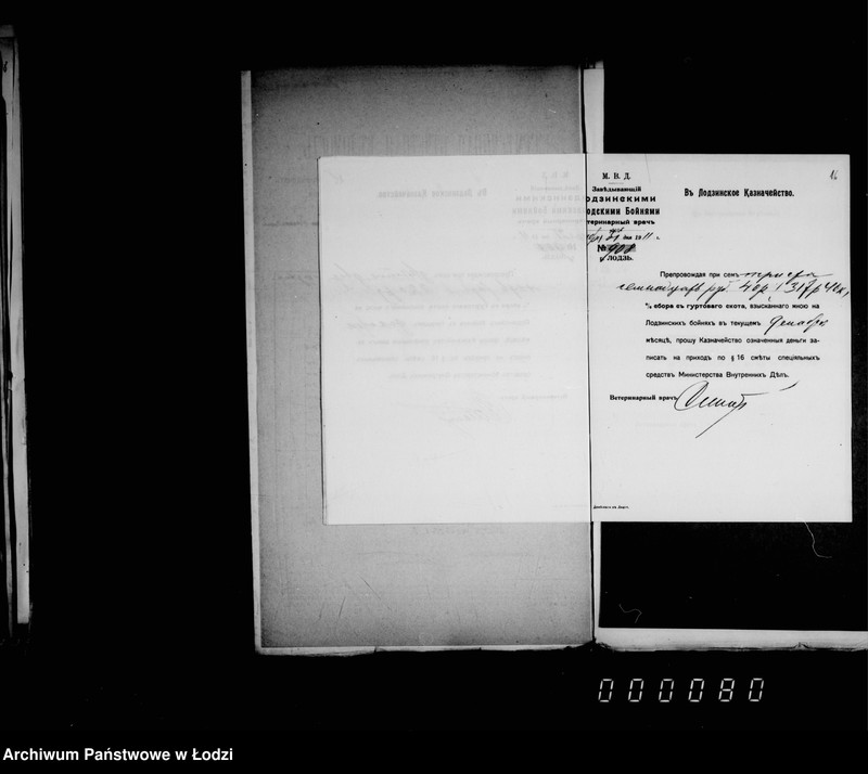 Obraz 19 z jednostki "Po % sboru za 1911 g."