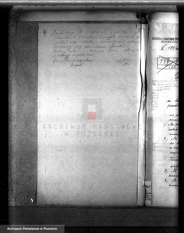 Obraz 9 z jednostki "Drzewostan na majątku państwowym Chwałkowo powiat średzki"