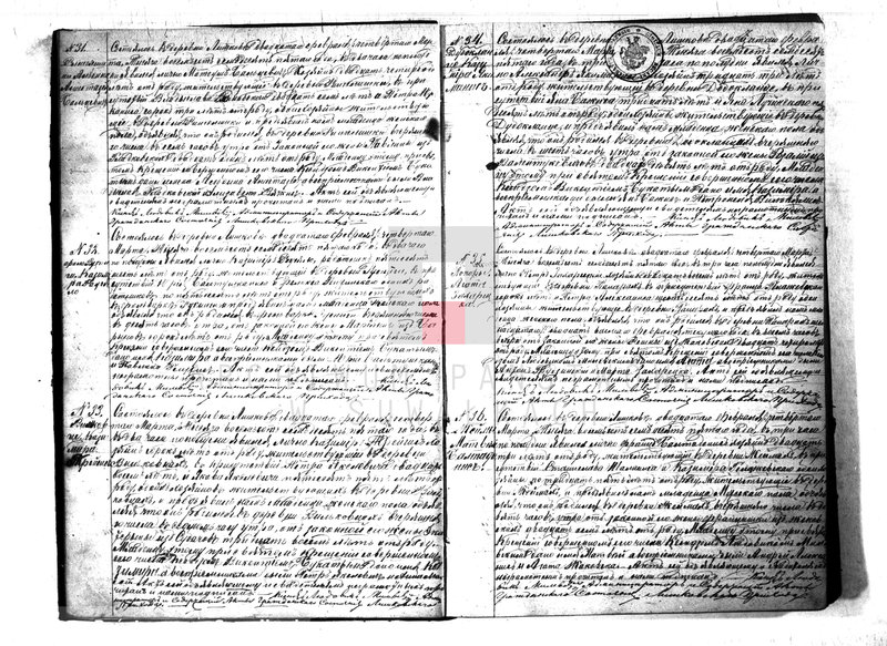 Obraz 10 z jednostki "Kniga Duplikat Rimsko- Katoličesko Liškovskago Prichoda na 1875 god"