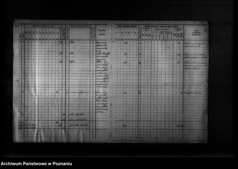image.from.unit.number "Program urządzenia lasu majątku Zakrzewo powiat szamotulski 1937-1947"