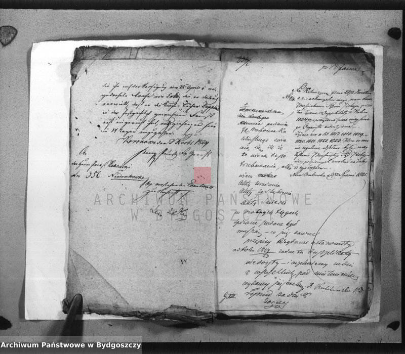 image.from.team "Akta metrykalne parafii rzymskokatolickiej w Dąbrówce Nowej, pow. Bydgoszcz"