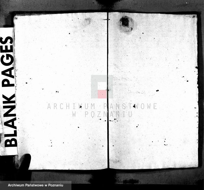 Obraz 19 z jednostki "Księga urodzenia"