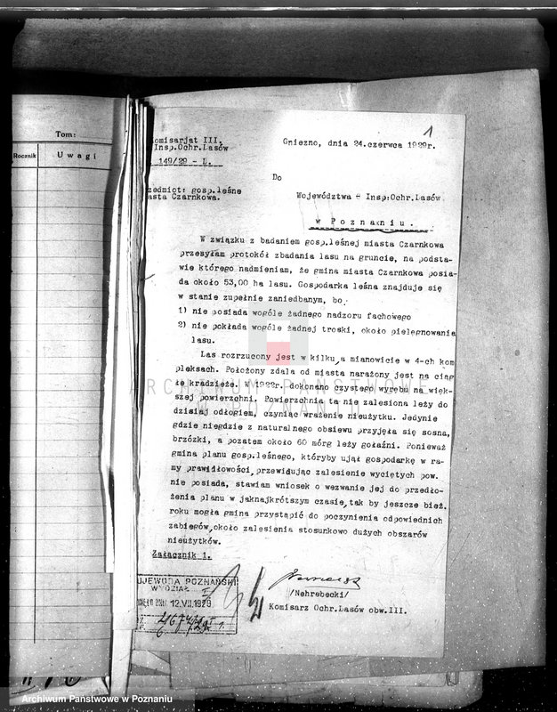 Obraz 5 z jednostki "Magistrat miasta Czarnkowa /nadzór nad gospodarką leśną/"