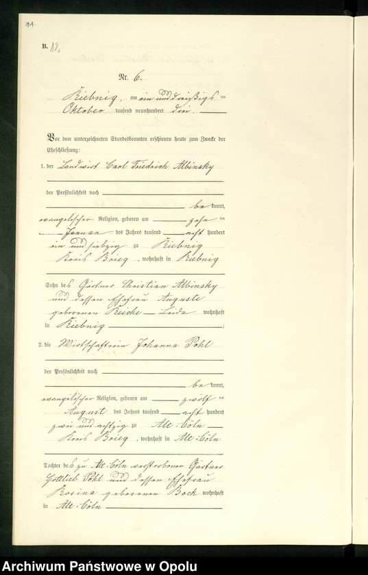 Obraz 15 z jednostki "Heiraths-Neben-Register Standes-Amt Riebnig 1903"