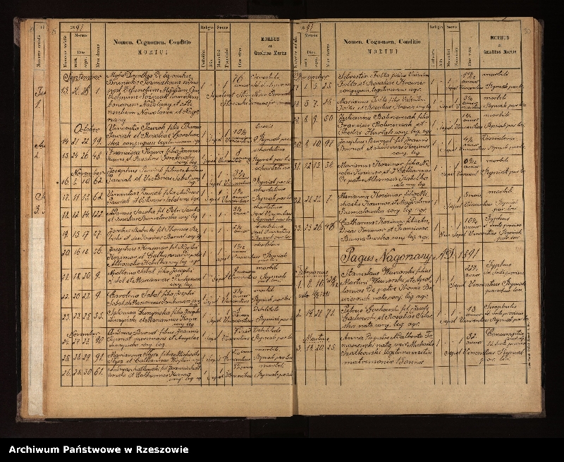 image.from.unit.number "Księga urodzeń, małżeństw i zgonów dla miejscowości Nowotaniec, Nadolany, Nagórzany, Pielnia, Wola Sękowa, Wola Jaworowa, Puławy"