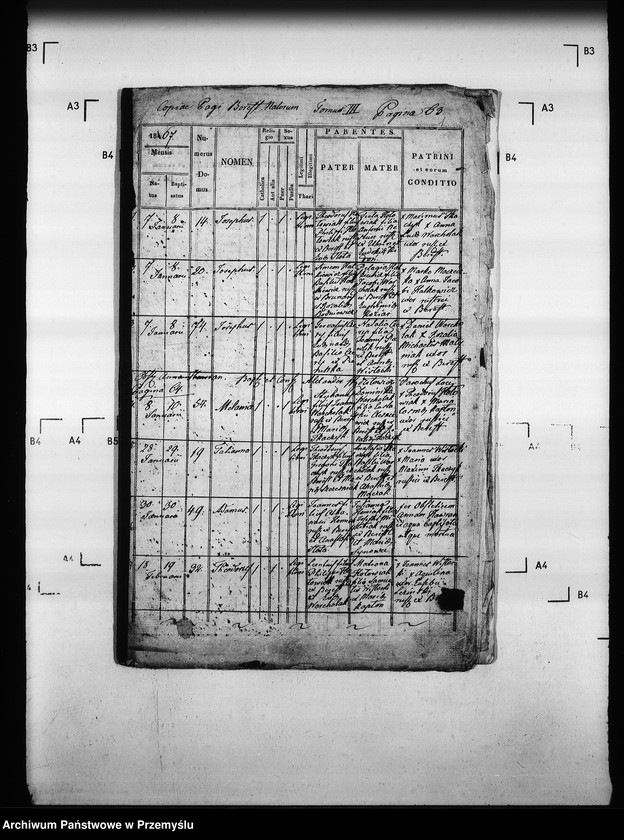 Obraz 5 z jednostki "[Kopie ksiąg metrykalnych parafii Berest z filią Polany (dekanat Grybów)]"