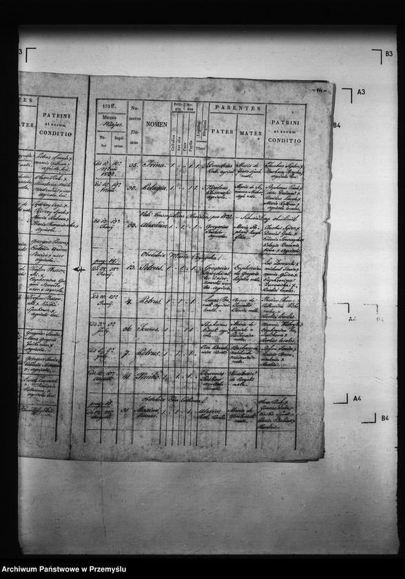 Obraz 18 z jednostki "[Kopie ksiąg metrykalnych parafii Miżyniec z filiami Gdeszyce, Zrotowice (dekanat Niżankowice)]"