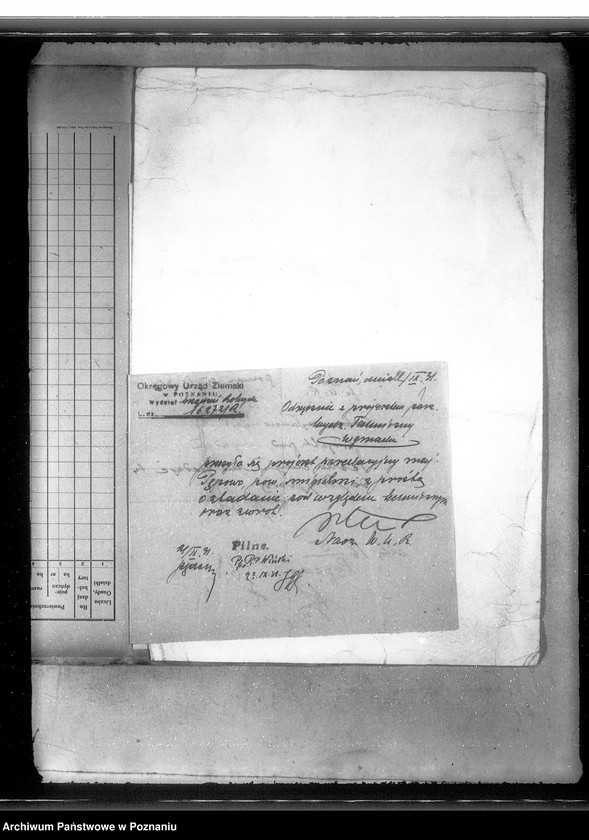 Obraz 5 z jednostki "Parcelacja prywatna Pępowo powiatu gostyńskiego"