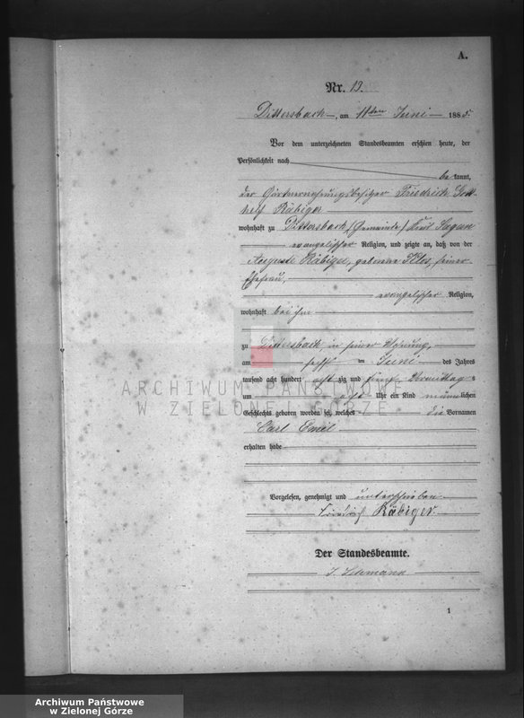 Obraz 16 z jednostki "[Księga aktów urodzeń]"