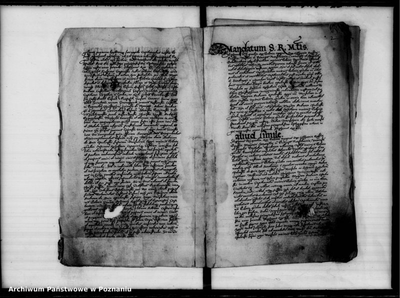 Obraz 5 z jednostki "Inscriptiones, relationes [inducta]"