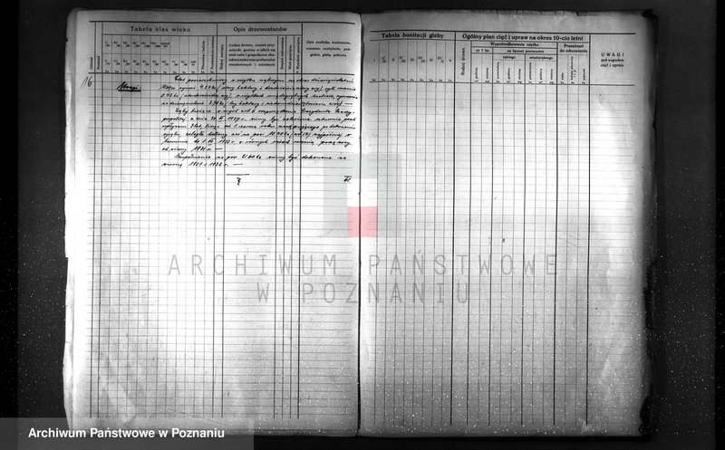 Obraz 16 z jednostki "Plan urządzenia gospodarstwa leśnego dla lasu Berty Stelter w Piotrowie powiat szamotulski 1930-1940"