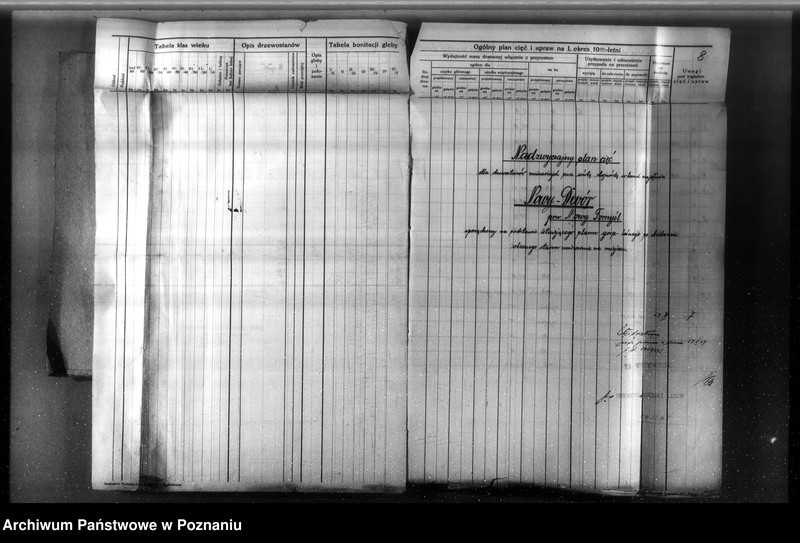 Obraz 9 z jednostki "Nadzór nad gospodarką w lasach majętności Nowy Dwór w powiecie nowotomyskim"