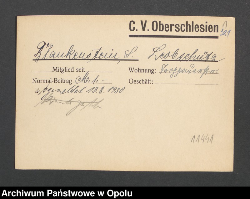 Obraz 3 z jednostki "[Blankenstein S, Leobschütz]"