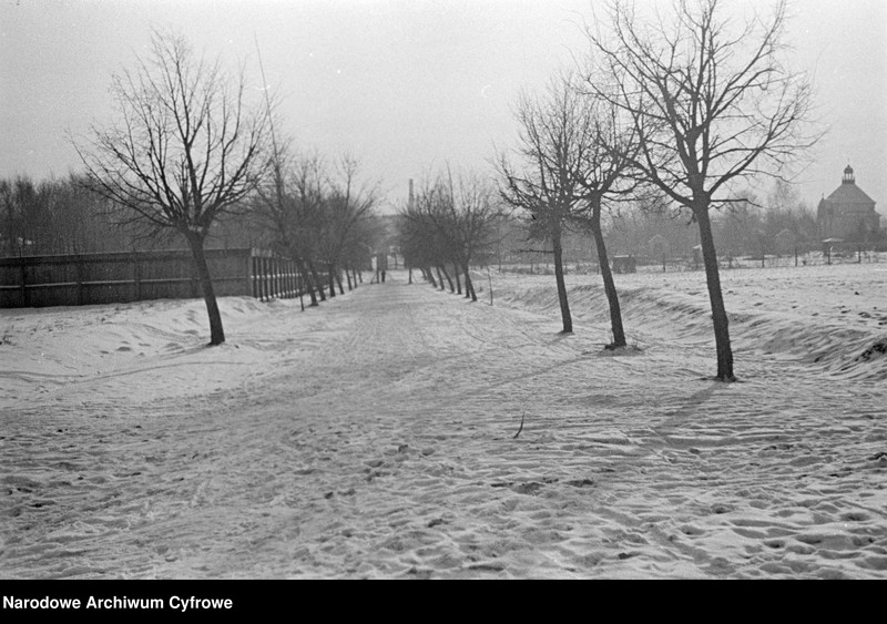 image.from.unit.number "Lublin - Ogród Saski i okolice podczas zimy"