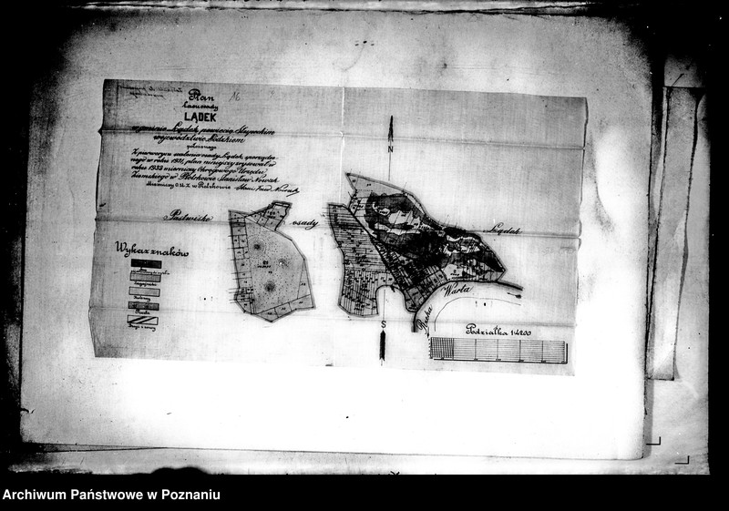 Obraz 20 z jednostki "Projekt podziału wspólnego lasu osady Lądek w związku z pracami scaleniowymi wsi"