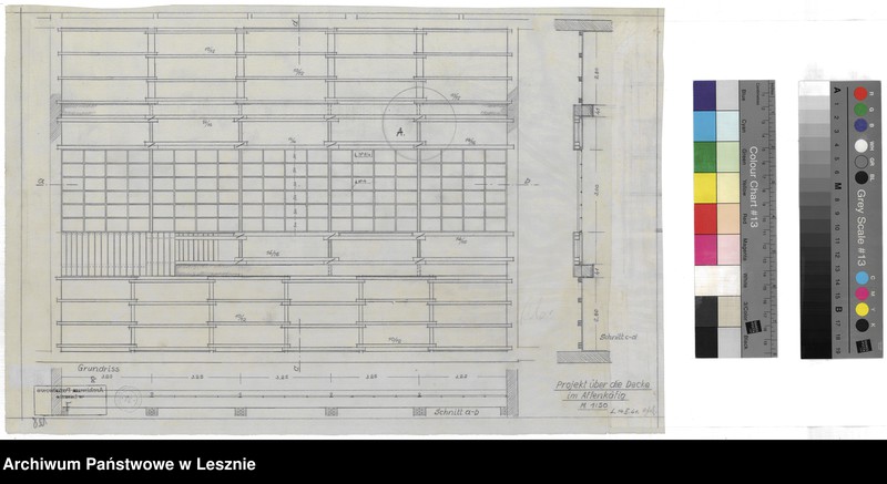 Obraz 7 z jednostki "Leszno miasto. Dokumentacja projektowa ogrodu zoologicznego."