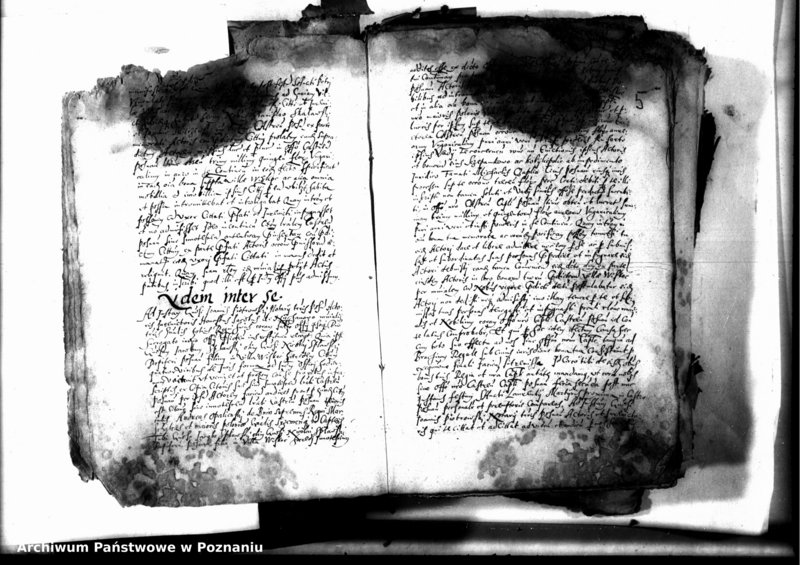 Obraz 7 z jednostki "Decreta officii [inducta]"