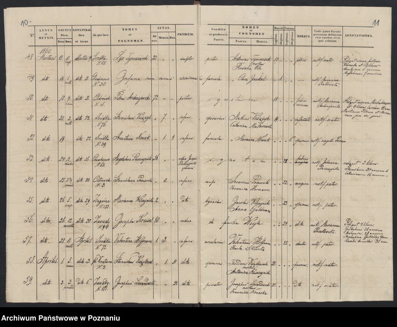 Obraz 8 z jednostki "Księga zgonów"