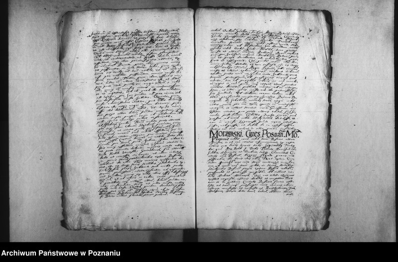 Obraz 11 z jednostki "Decreta [inducta]"