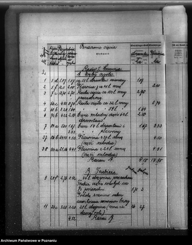 Obraz 6 z jednostki "Plan cięć lasu majętności Łomnica powiat nowotomyski"