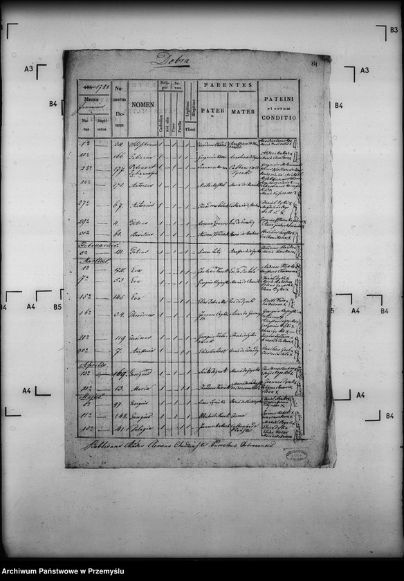 Obraz 18 z jednostki "[Kopie ksiąg metrykalnych parafii Dobra (dekanat Sieniawa)]"
