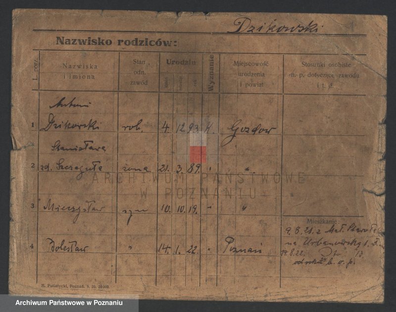 Obraz 3 z jednostki "Dzikowski - Dzyskowska"