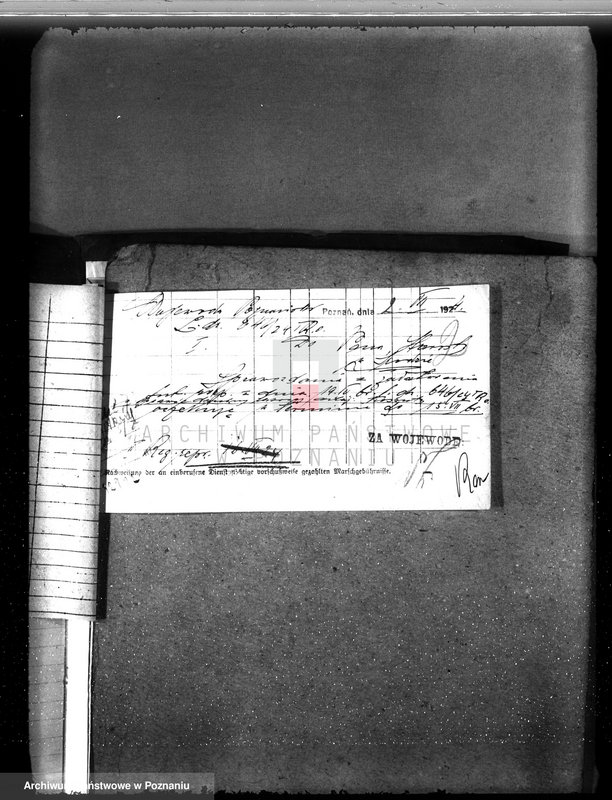 Obraz 6 z jednostki "Nadzór nad gospodarką w lasach majętności Koszuty powiat średzki"