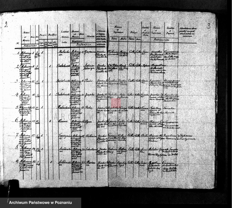 Obraz 3 z jednostki "Liber baptisatorum, copulatorum, mortuorum"