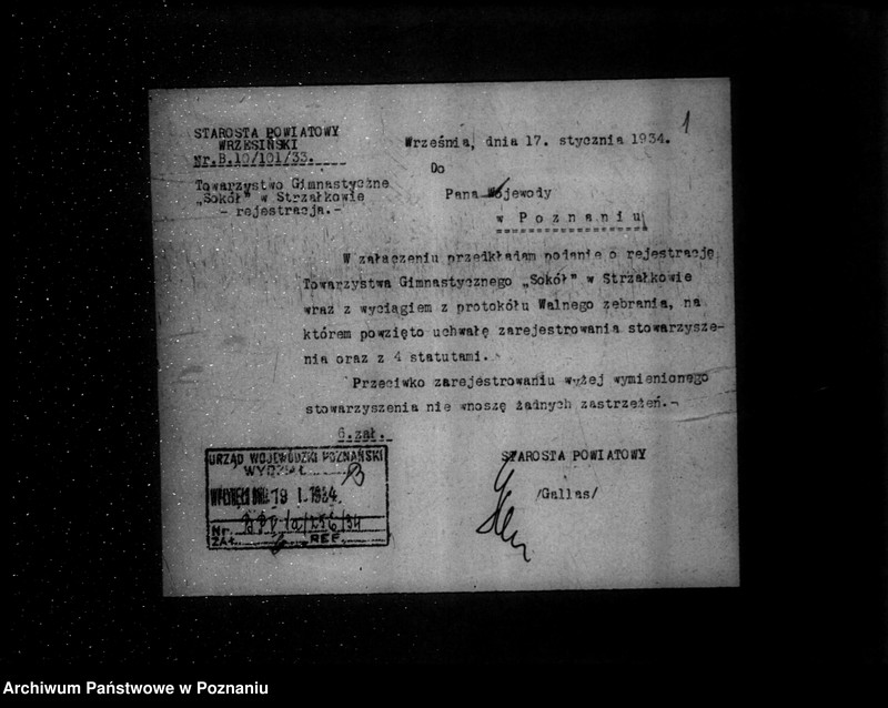 Obraz 5 z jednostki "/Towarzystwo Gimnastyczne „Sokół" w Strzałkowie powiat Września - rejestracja/"