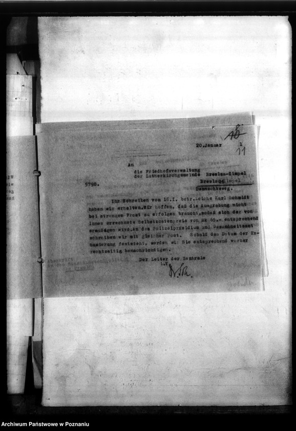 Obraz 16 z jednostki "Karol Schmidt - Neutecklenburg (powiat Września)"