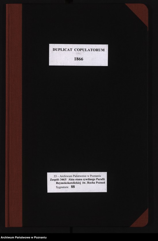 Obraz 2 z jednostki "Duplicat copulatorum"