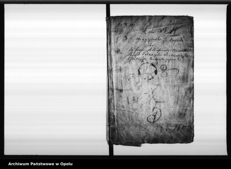Obraz 5 z jednostki "Acta des Magistrats zu Oppeln ueber die Frage ob die ehemalige Minoritten Innsel Polko zum Lande oder zum städtischen Verbande gehören? 1813"