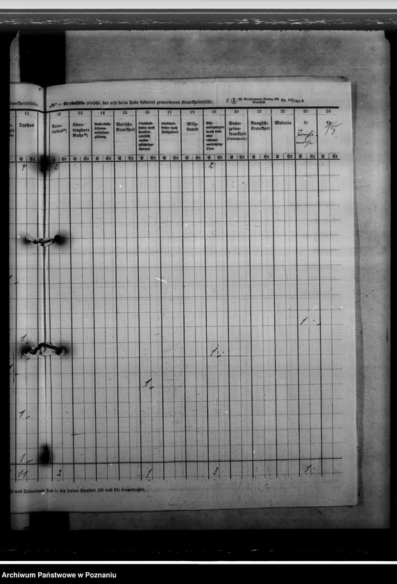 Obraz 19 z jednostki "Nachweisungen von übertragbaren Krankheiten"