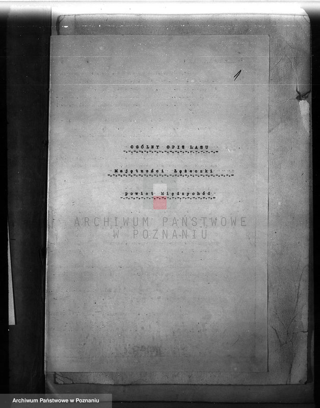 Obraz 6 z jednostki "Plan urządzenia gospodarstwa leśnego lasu majętności Łężeczki w powiecie międzychodzkim 1930-1939"