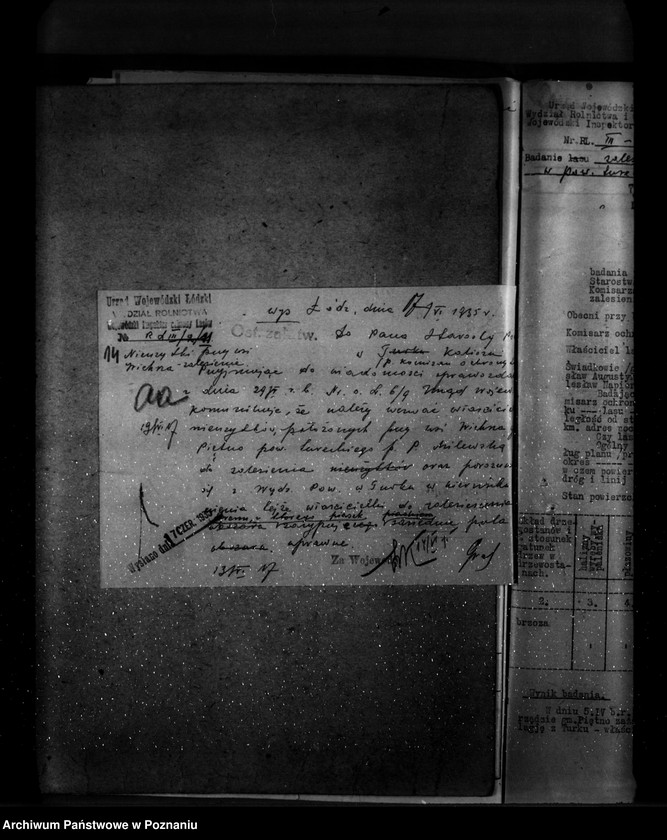 Obraz 18 z jednostki "Zalesienie nieużytków w powiecie tureckim"