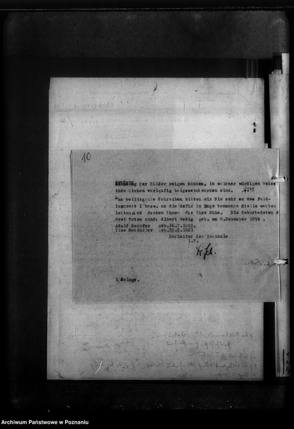 Obraz 14 z jednostki "Gräber in Petrikau (Piotrków Trybunalski)"