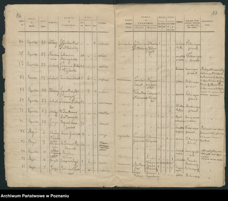 Obraz 11 z jednostki "Księga zgonów"