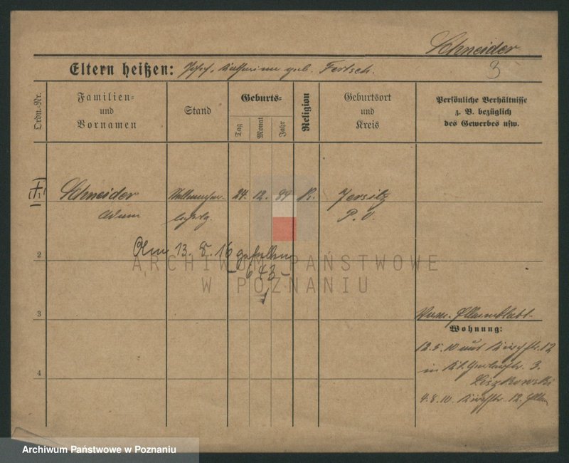 Obraz 9 z jednostki "Sznajder (samotni mężczyźni i kobiety)"