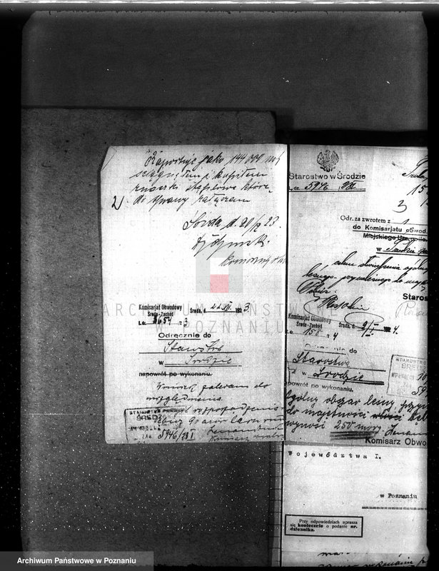 Obraz 6 z jednostki "Nadzór nad gospodarką w lasach majętności Dębicz powiat średzki"