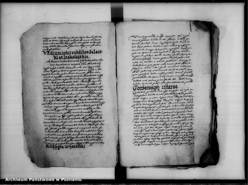 Obraz 10 z jednostki "Inscriptiones, relationes [inducta]"