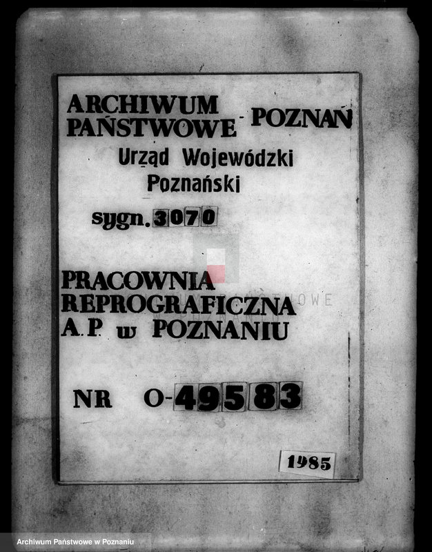 Obraz 1 z jednostki "Majątek Wiele powiatu wyrzyskiego operat szacunkowy"