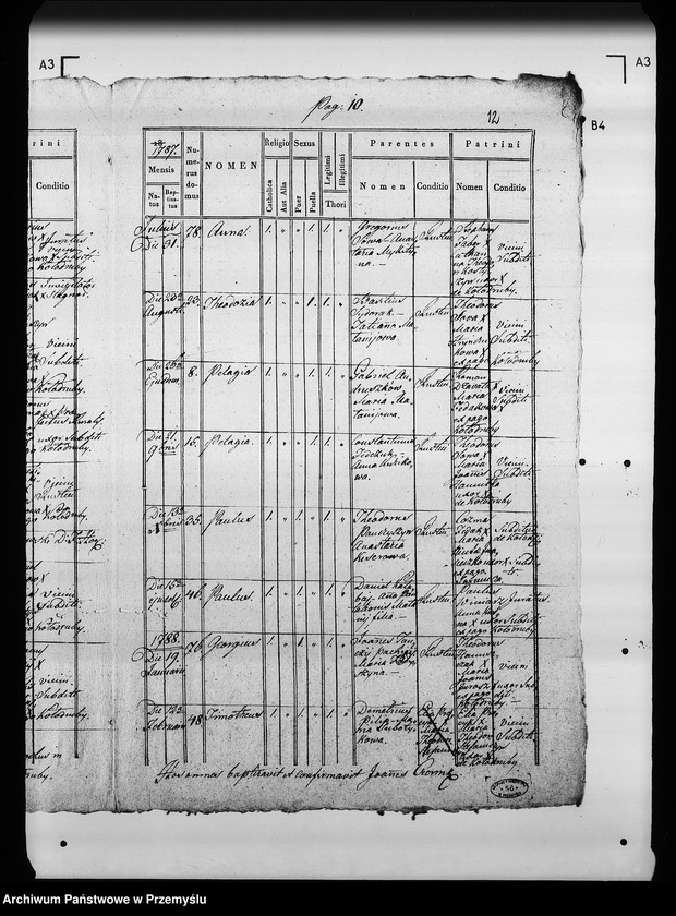 Obraz 15 z jednostki "[Kopie ksiąg metrykalnych parafii Kołodruby (dekanat Komarno)]"