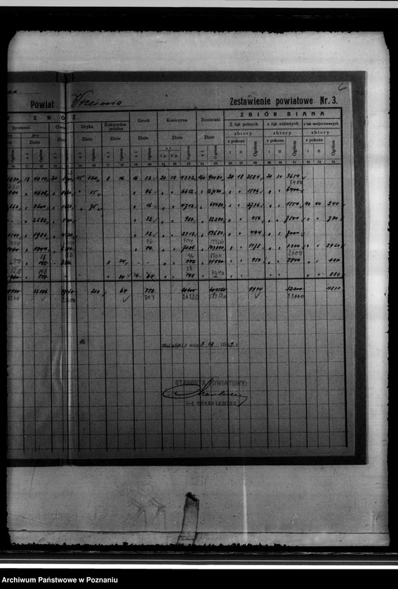 Obraz 10 z jednostki "/Statystyka produkcji rolnej - zestawienie powiatowe - Września/"