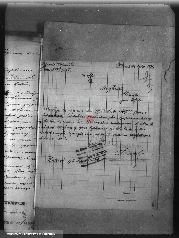 Obraz 7 z jednostki "Nadzór nad gospodarką w lasach majętności Śliwniki powiat ostrowski"