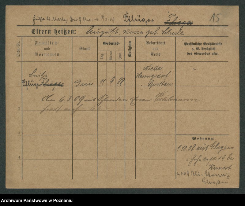 Obraz 17 z jednostki "Pflieger - Piasecki"