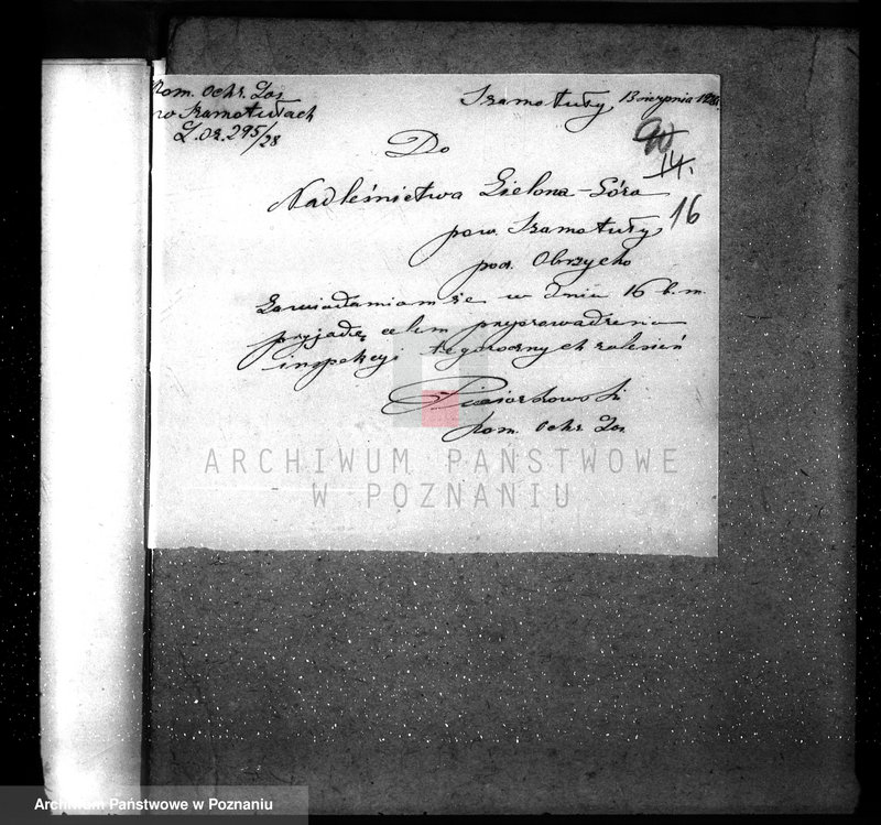 Obraz 20 z jednostki "Ordynacja Obrzycko /nadzór nad gospodarką leśną/"