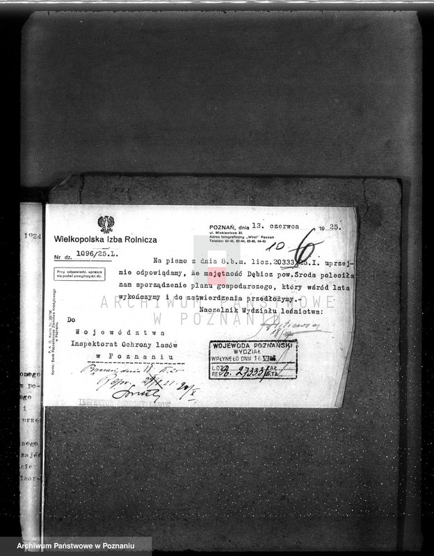 Obraz 14 z jednostki "Nadzór nad gospodarką w lasach majętności Dębicz powiat średzki"