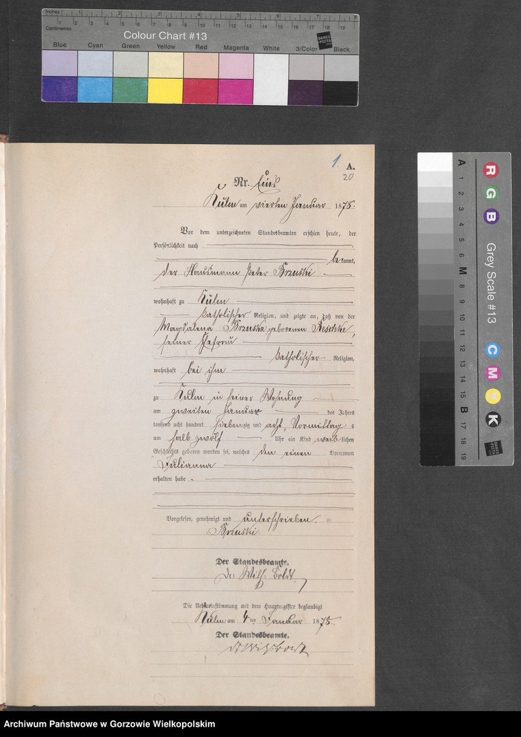 Obraz z jednostki "Geburts Register"