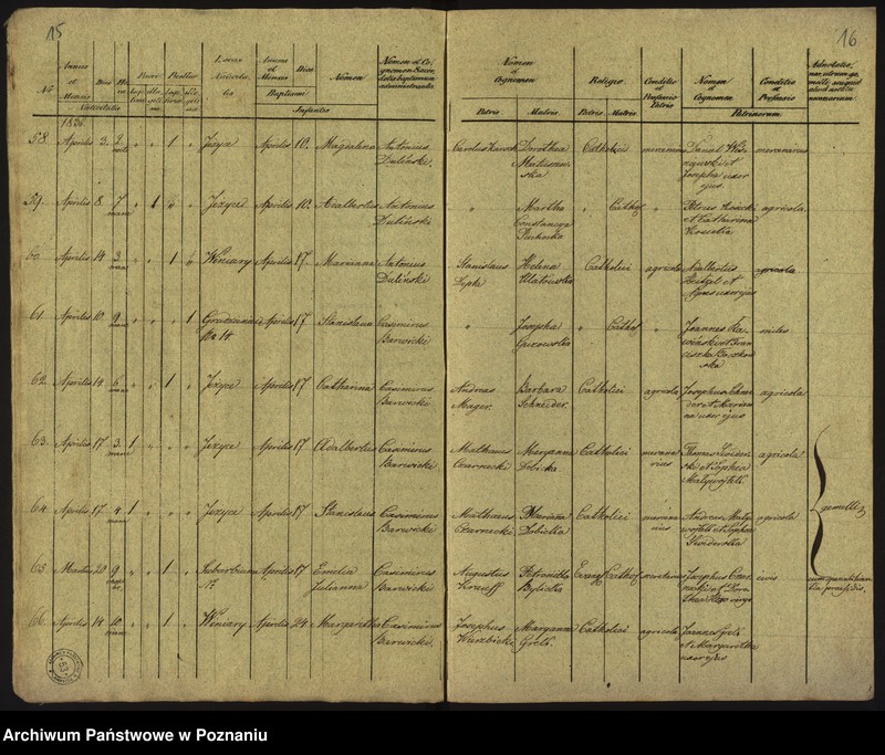 Obraz 11 z jednostki "Księga urodzeń"